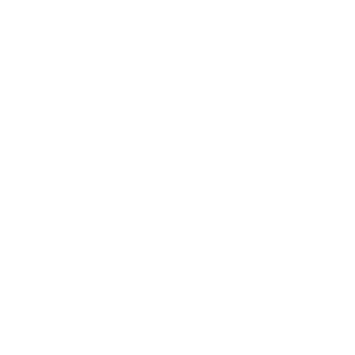 Équipe professionnelle